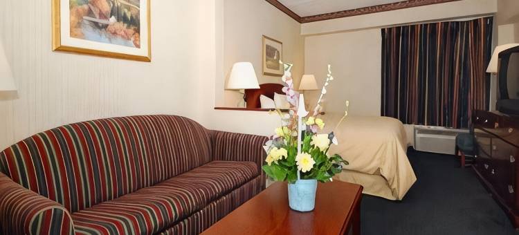 卡莱尔市中心舒适套房酒店(Comfort Suites Downtown Carlisle)图片