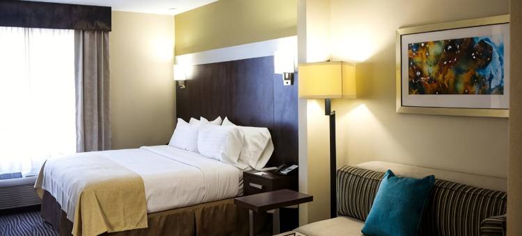 埃尔帕索机场假日酒店(Holiday Inn EL PASO AIRPORT by IHG)图片