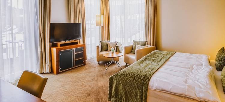 南湖酒店(Seehotel Süd)图片