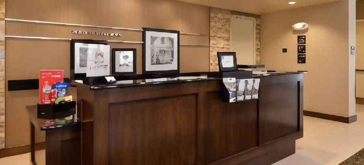 希尔顿欢朋套房酒店-奥兰多市区南医疗中心(Hampton Inn & Suites Orlando Downtown South/Medical Center)图片