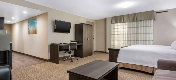 克拉丽奥套房酒店(Clarion Hotel & Suites)图片