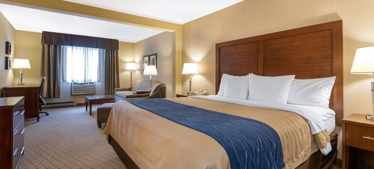 铁山北部的舒适酒店(Comfort Inn)图片