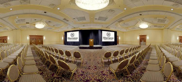 匹兹堡车站广场喜来登酒店(Sheraton Pittsburgh Hotel at Station Square)图片