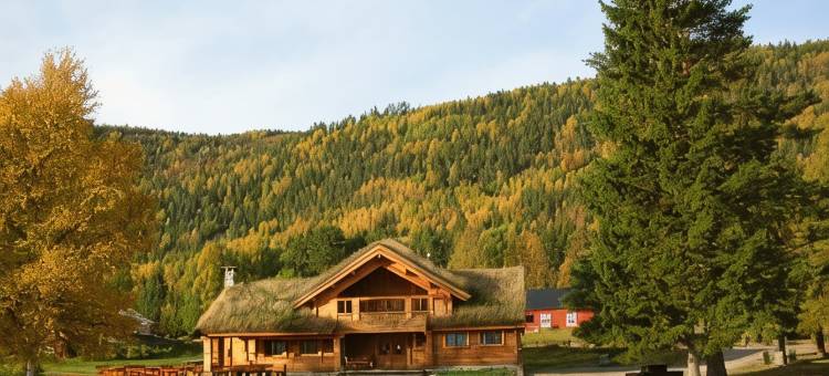 尼塞尔海特格兰德露营山林小屋(Nisser Hyttegrend og Camping)图片