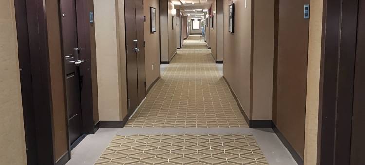 贝斯特韦斯特优质欣顿优质套房酒店(Best Western Plus Hinton Inn  Suites)图片