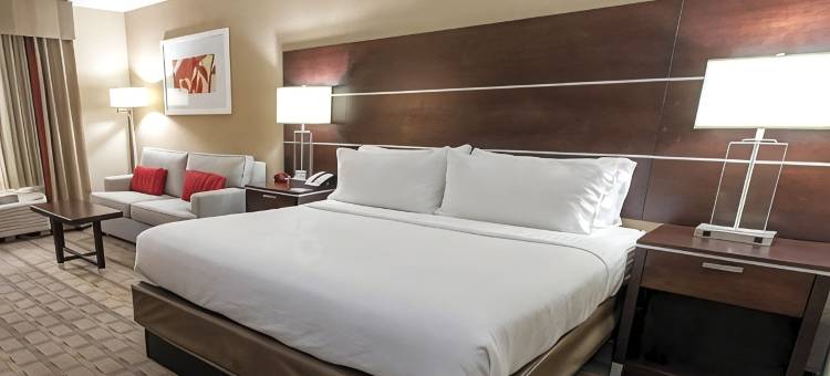 夏洛特机场假日酒店(Holiday Inn CHARLOTTE-AIRPORT CONF CTR by IHG)图片