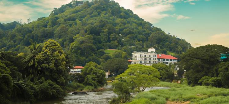 奥克雷瑞晶丝酒店(Oak Ray Regency)图片