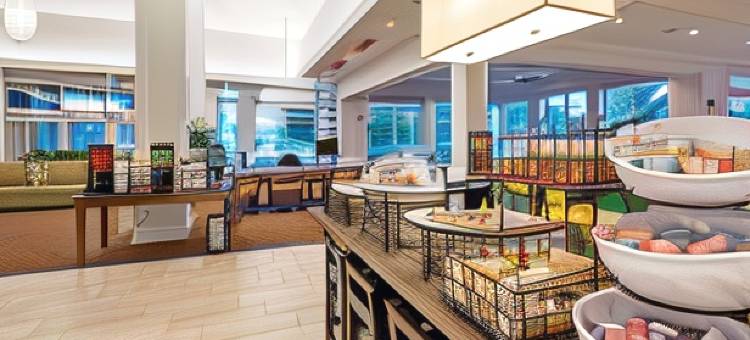 美国希尔顿花园酒店明尼阿波利斯机场购物中心(Hilton Garden Inn Minneapolis Airport Mall of America)图片