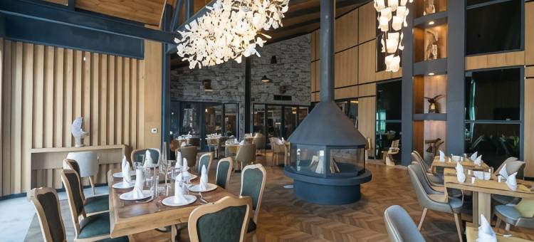 萨皮诺山酒店(Sarpino Mountain Hotel)图片