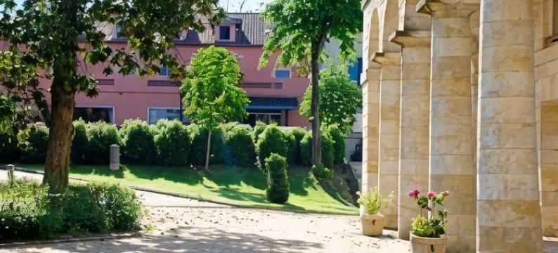 温泉餐厅酒店(Hotel Restaurant des Thermes)图片