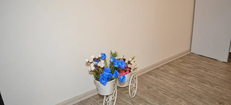 第比利斯你的家酒店(Your House in Tbilisi)图片