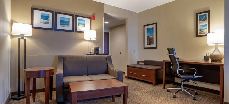 弗利北部湾岸舒适套房酒店(Comfort Suites Foley - North Gulf Shores)图片