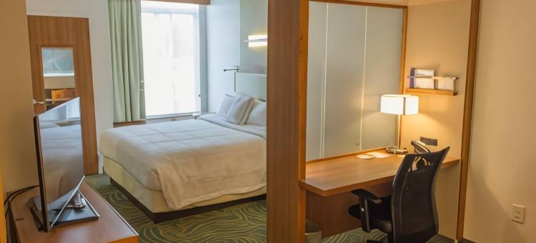 萨姆特万豪SpringHill酒店(SpringHill Suites Sumter)图片