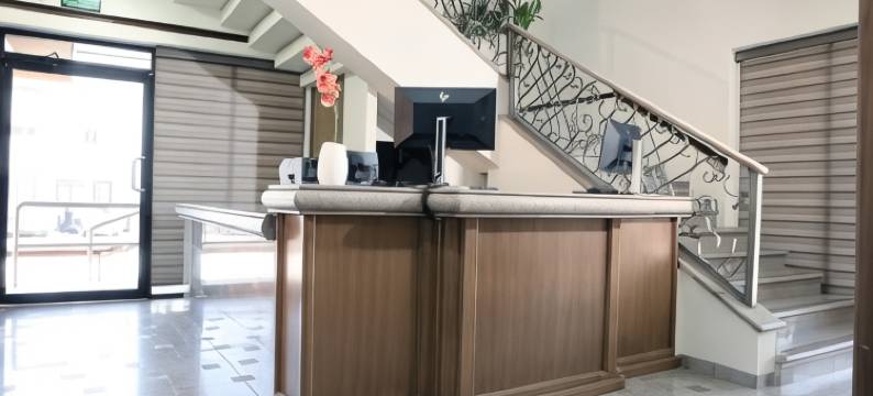 狮子大酒店(Hotel Grand Lion)图片