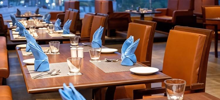 浦那萨亚吉恩瑞斯酒店(Enrise by Sayaji ,Pune)图片