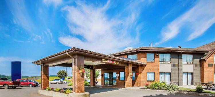 舒适酒店(Comfort Inn)图片