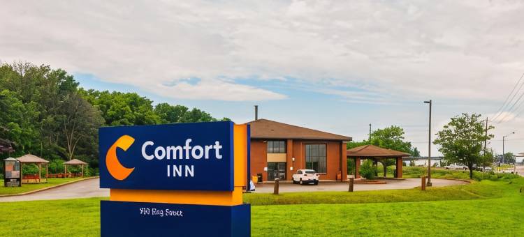 舒适酒店(Comfort Inn Midland)图片