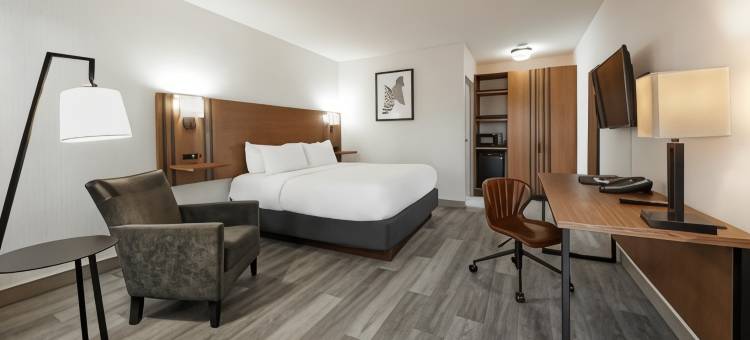 多伦多加拿大最佳价值酒店(Canadas Best Value Inn Toronto)图片