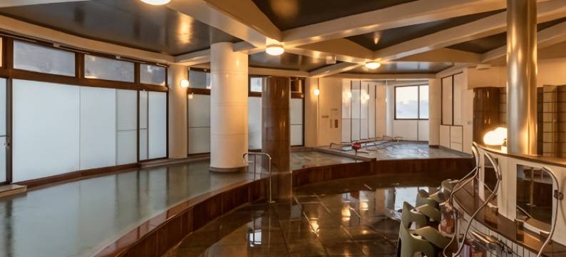 新琵琶湖酒店(New Biwako Hotel)图片