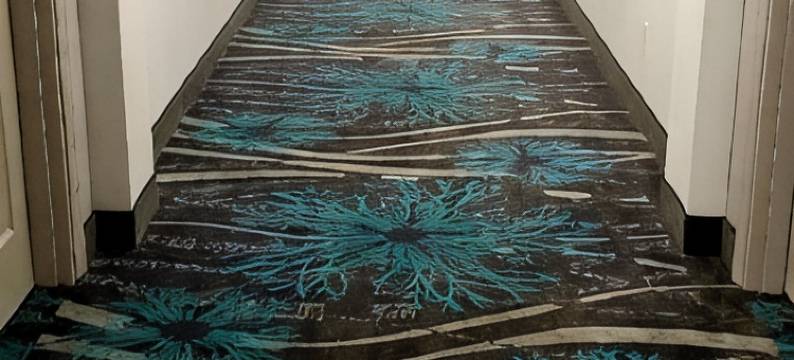 得梅因北呗盟套房酒店(Baymont by Wyndham des Moines North)图片