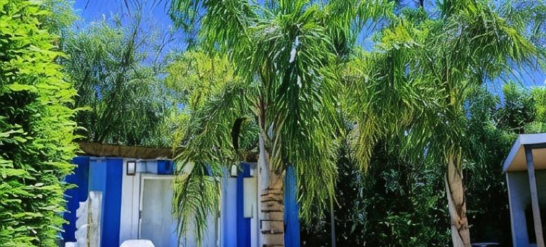 Squania套房集装箱&单间公寓(Squania Suite Container & Monoambientes)图片