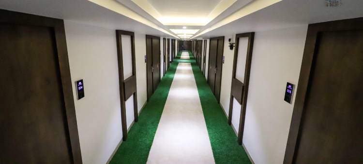 精致钯金酒店(Hotel Delite Palladium)图片