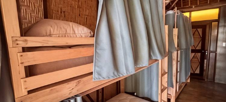 ShakaBrah beach hostel图片
