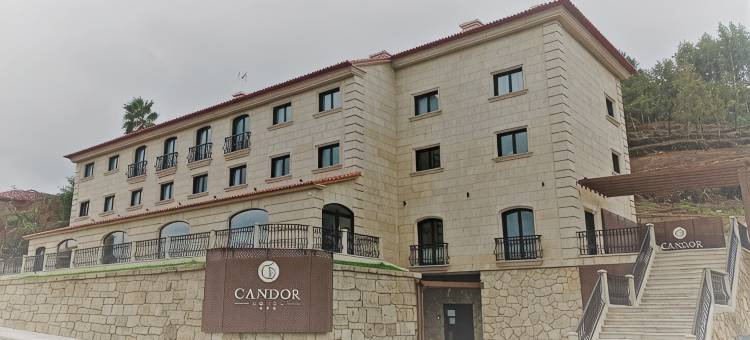 坎多酒店(Hotel Candor)图片