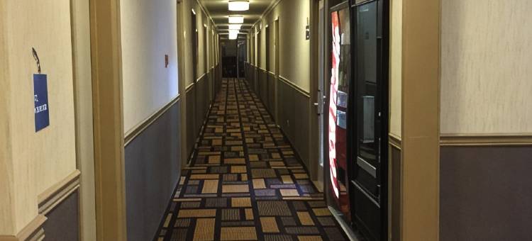特莱斯戴斯酒店(Days Inn by Wyndham Terrace)图片