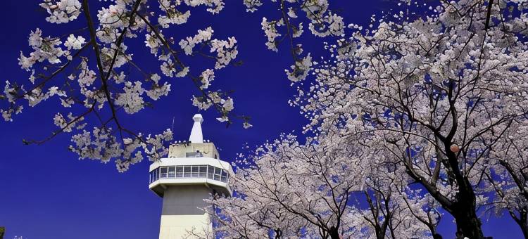 野鶴亭旅馆(Yakakutei)图片