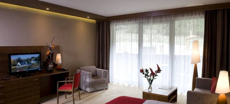 乔泊科健康酒店(Wellness Hotel Chopok)图片