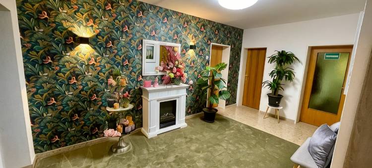 Berghotel Hohegeiß酒店(Berghotel Hohegeiß)图片