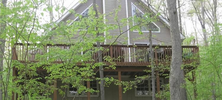 马斯托普-大熊-拉克瓦克森-豪华四卧室-游戏室木屋(Masthope-Big Bear-Lackawaxen-Luxury 4 Bedroom-Game Room)图片