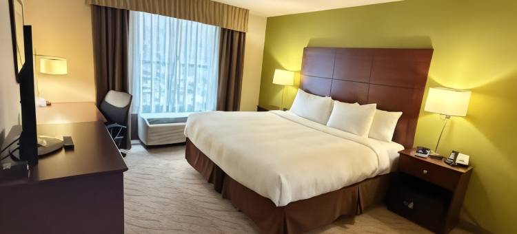 马凯特康福特酒店及套房 - 普雷里杜钦(Comfort Inn & Suites Marquette - Prairie du Chien)图片