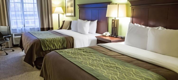 什里夫波特I-49舒适酒店(Comfort Inn Shreveport I-49)图片