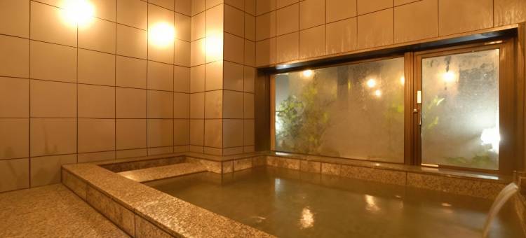 丰田市三河AB酒店(AB Hotel Mikawa Toyota)图片