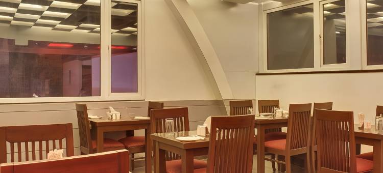 戈德温大酒店(Hotel Grand Godwin - Near New Delhi Railway Station - Free Airport Pick-up)图片