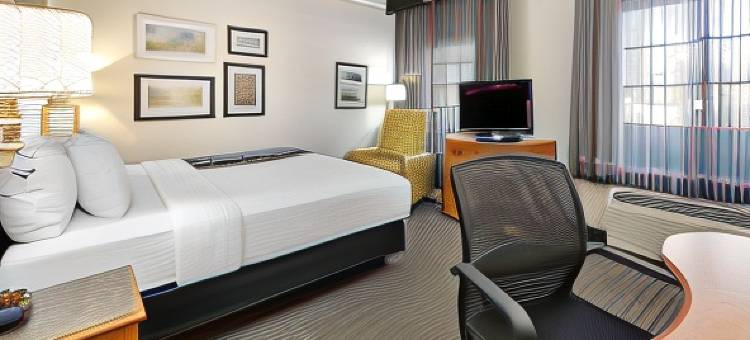 达拉斯艾迪生广场拉昆塔温德姆套房酒店(La Quinta Inn & Suites by Wyndham Dallas - Addison Galleria)图片