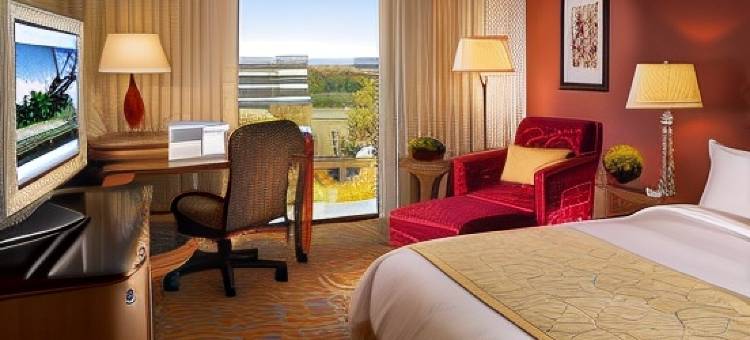 奥兰多机场湖畔万豪酒店(Marriott Orlando Airport Lakeside)图片