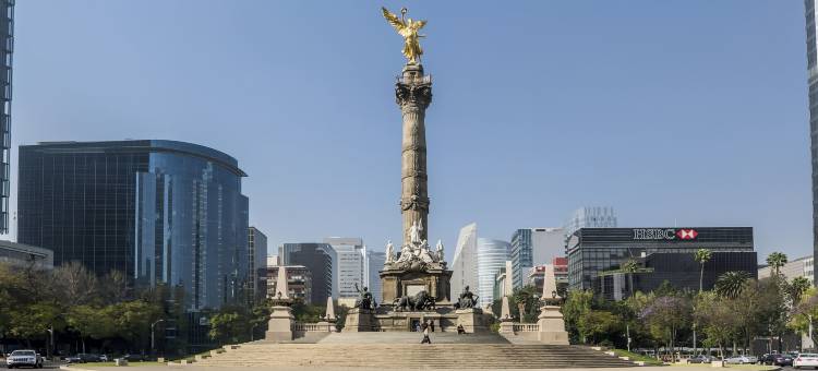 NH瓦勒多拉朵酒店(NH Mexico City Valle Dorado)图片