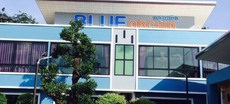 芽庄蓝色兰花度假村(Blue Orchid Resort Trang)图片