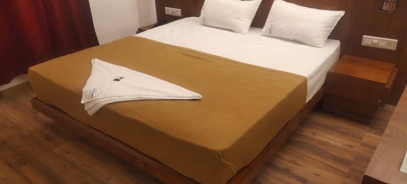 安维莎行政酒店(Hotel Anvisha Executive)图片