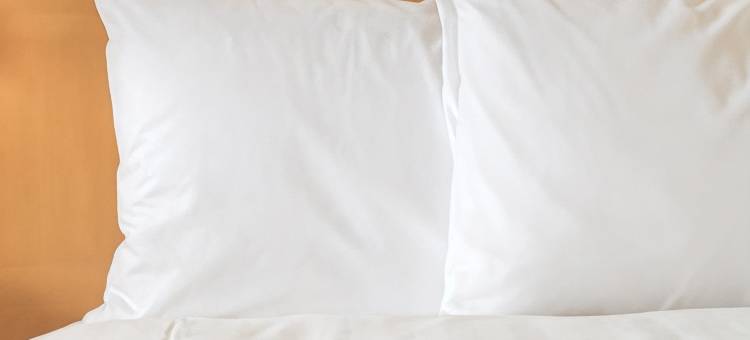 雷明顿智选假日酒店(Holiday Inn Express & Suites REMINGTON by IHG)图片