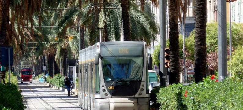 维亚圣马丁民宿(Viale San Martino)图片