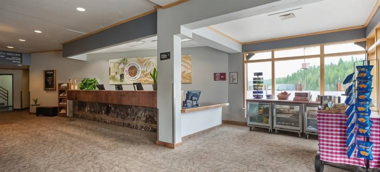 复古酒店(The Vintage Hotel)图片