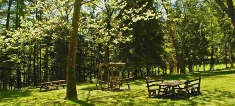 Unique and Secluded Country Estate Near Pittsburgh图片