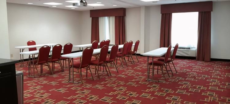 沃斯堡国际机场南丽怡酒店(Country Inn & Suites by Radisson, DFW Airport South, TX)图片