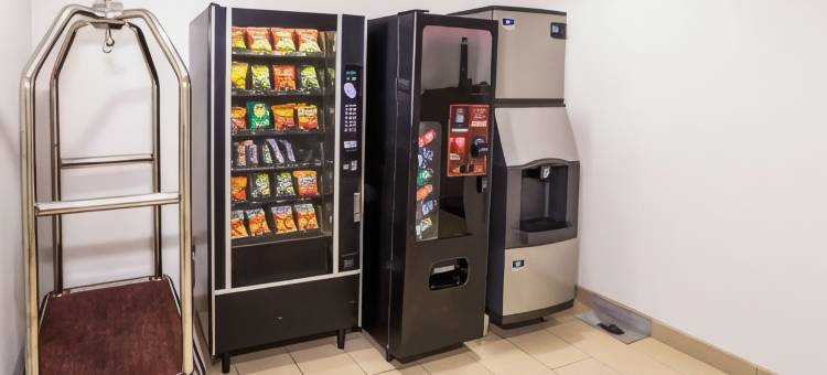 巴吞鲁日大学区 - 伊克诺旅馆(Econo Lodge Baton Rouge University Area)图片