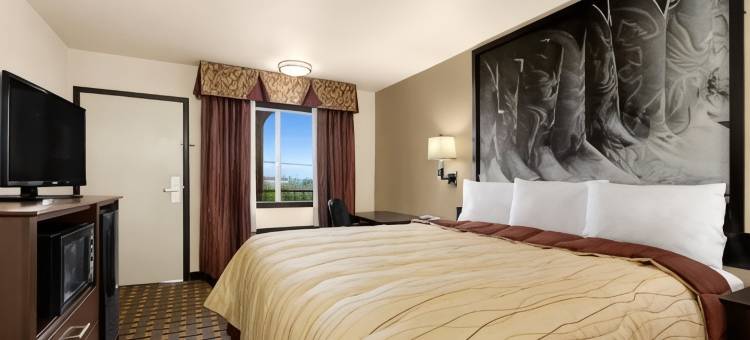 沃斯堡速8酒店(Super 8 by Wyndham Fort Worth TX)图片