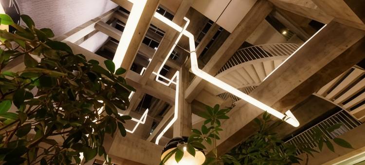 白井屋酒店(Shiroiya Hotel)图片